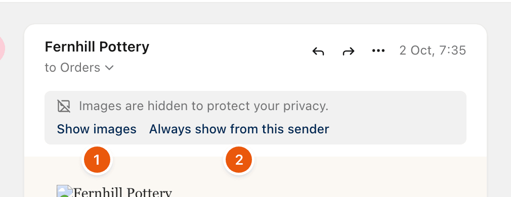 A designed email with its images hidden, and the Show images and Always show from this sender links.