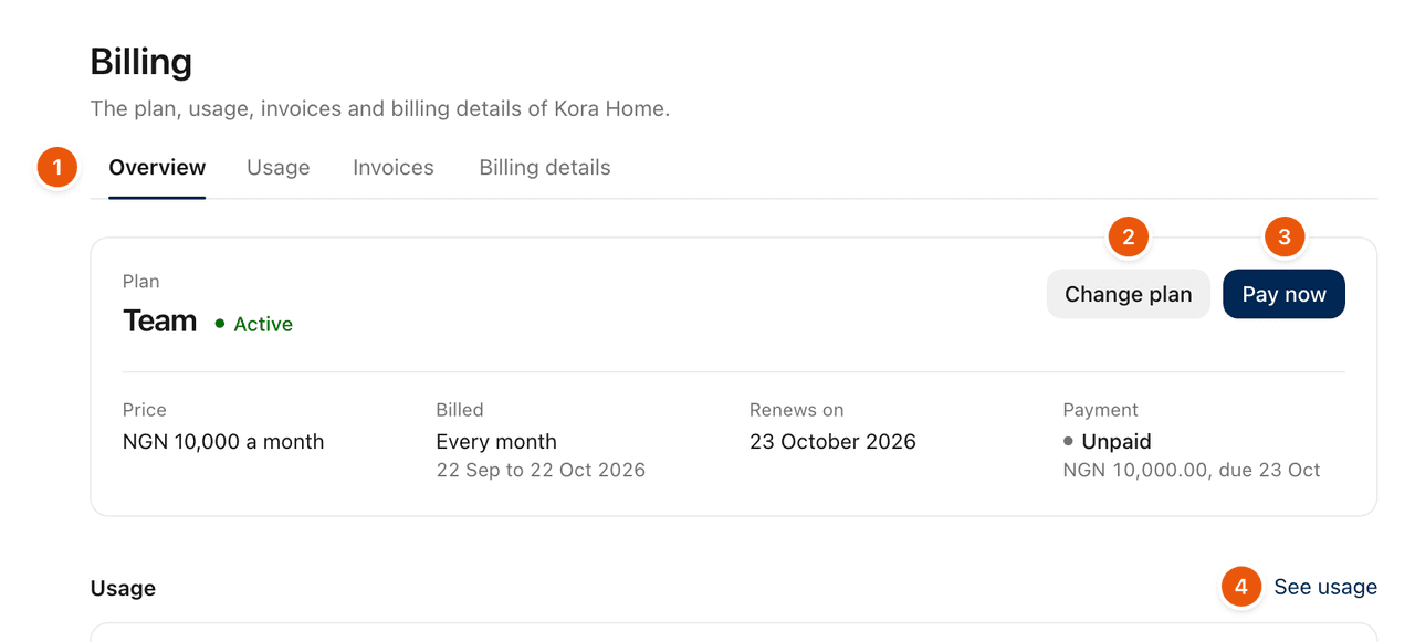 Settings, Billing, Overview: the tabs, the plan with Change plan and Pay now, and the start of Usage.