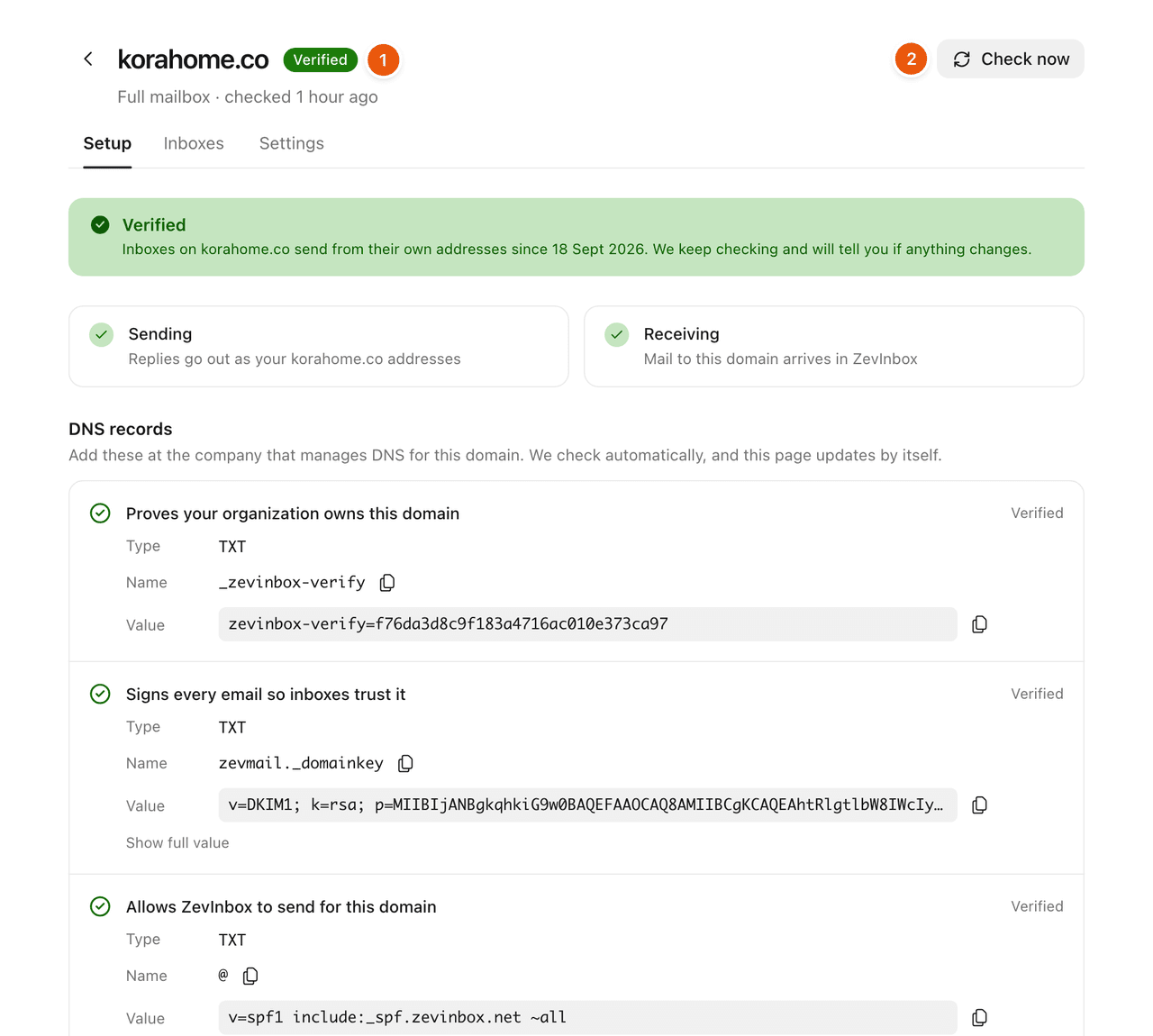 A verified domain's page in ZevInbox: the domain's status, the Check now button, and its DNS records with copy buttons.